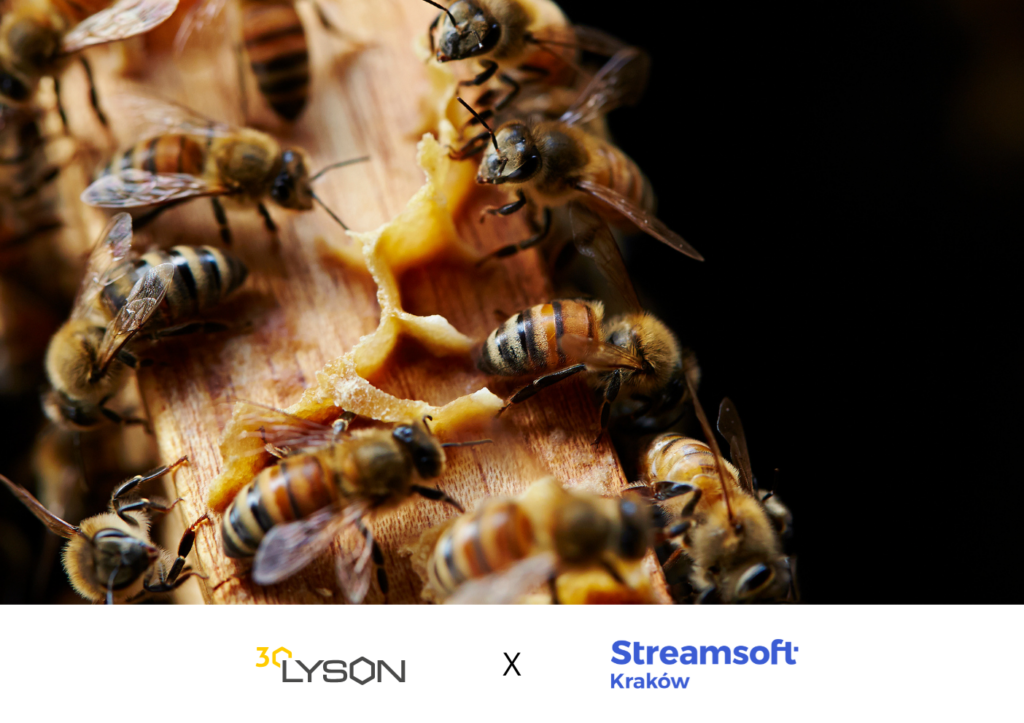 Case study Wdrożenie Streamsoft Prestiż w firmie Łysoń